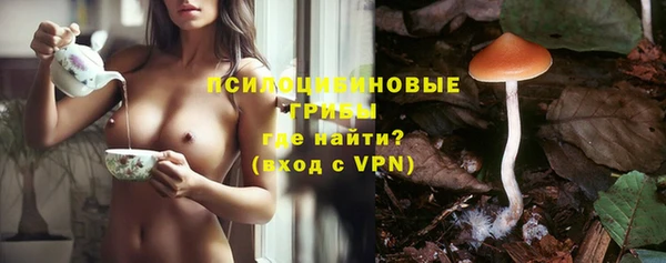 а пвп мука Бикин