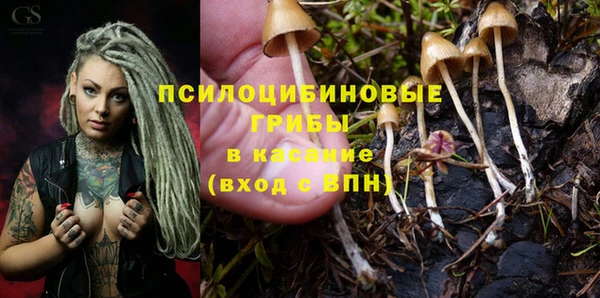кокаин перу Новозыбков