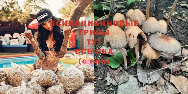каннабис Новодвинск
