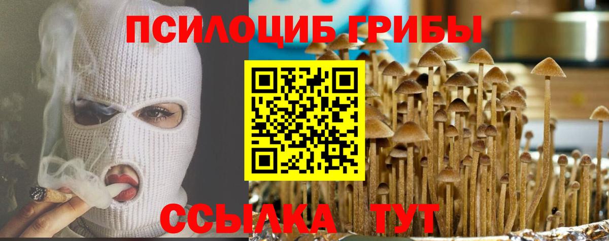 Псилоцибиновые грибы Psilocybine cubensis  Вход с VPN  Лесозаводск  Галлюциногенные грибы MAGIC MUSHROOMS 
